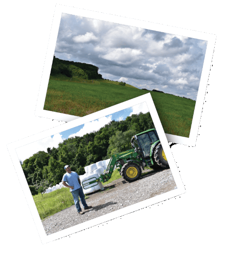 Jamie Kinsey Customer