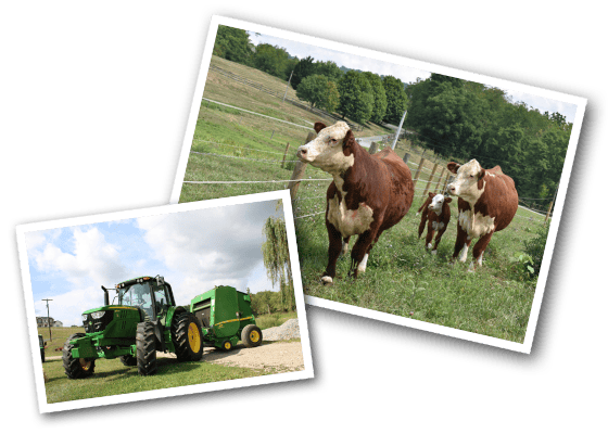 Bill Litman Customer